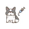 犬の混合ワクチン接種（6種・10種対応）