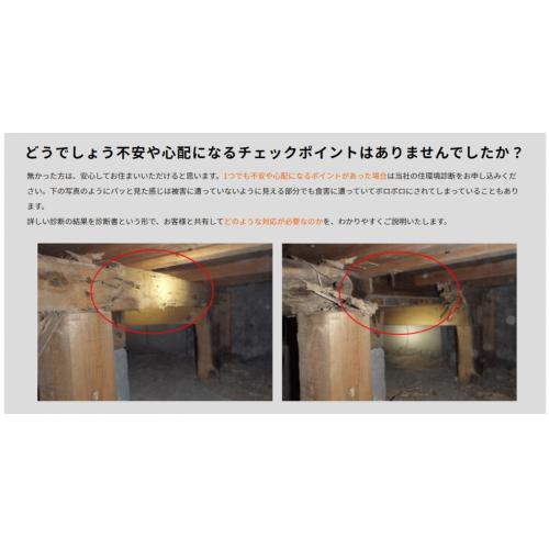 白蟻防除工事 #白蟻駆除 #白蟻予防