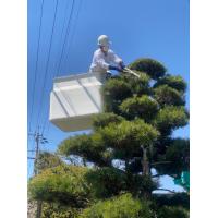 愛知県春日井市の「剪定と伐採」庭木、植木を受け付けています。