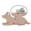 犬のフィラリア予防と最適な開始時期