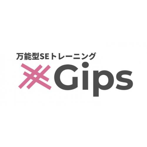 万能型SEトレーニング 『Gips』