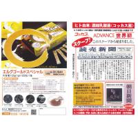 腸内細菌科学から生まれたヒト由来乳酸菌コッカス菌<腸内細菌飲料コッカスドリンク>