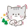 猫の皮膚科診療｜かゆみ・脱毛・皮膚炎