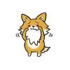 犬の眼科診療｜結膜炎・角膜炎・白内障など