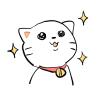 猫の眼科診療｜結膜炎・緑内障・腫瘍など