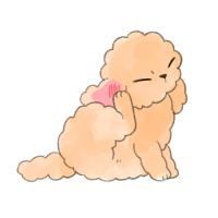 犬の外耳炎｜かゆみ・赤み・耳の異常に対応