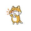 犬と猫の歯科診療と歯科レントゲン完備
