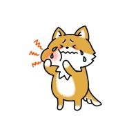 犬と猫の歯科診療と歯科レントゲン完備