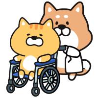 犬猫のためのシニア期健康管理と介護