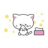 猫の慢性鼻炎の診断と治療