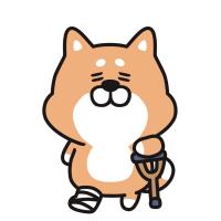 犬猫の整形外科｜骨折・膝蓋骨脱臼・靭帯損傷治療