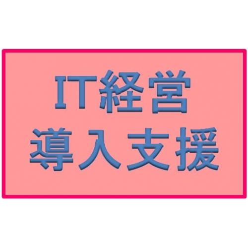 経営をサポートする適切なITの導入支援と活用