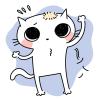 猫の「顔・耳の脱毛」原因と対策解説