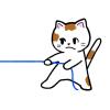 猫がひもを食べたときの危険性と対応｜しらい動物病院