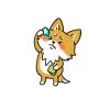 犬・猫の“目が赤い”原因を徹底解説：結膜、角膜、チェリーアイ