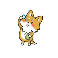 犬・猫の“目が赤い”原因を徹底解説：結膜、角膜、チェリーアイ