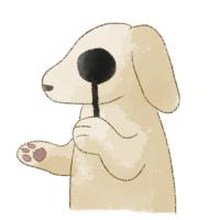 犬のまぶた（眼瞼）が腫れている原因を徹底解説｜アレルギー・腫瘍・チェリーアイ対策