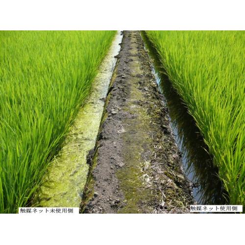 【触媒ネット】 で 米 の 味 覚 (グレード)・ 収 穫 ア ッ プ