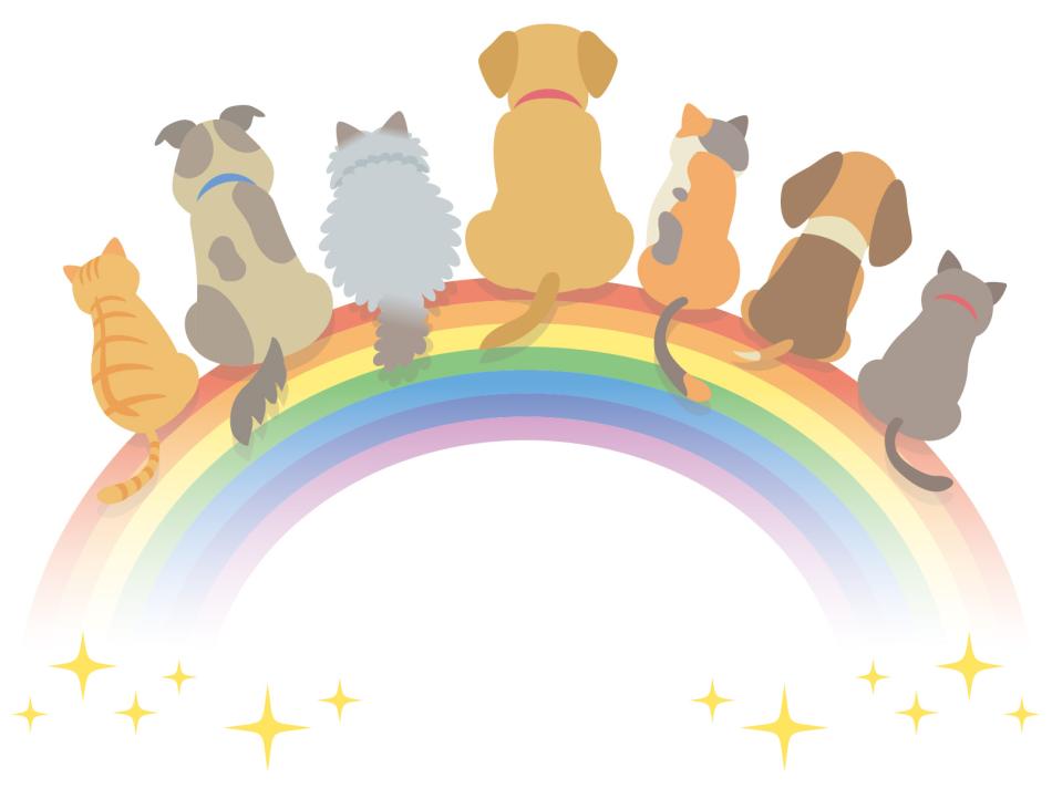 犬・猫の安楽死、悩んだらまず相談を