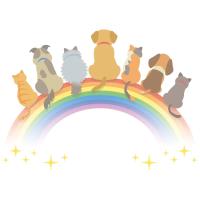 犬・猫の安楽死、悩んだらまず相談を