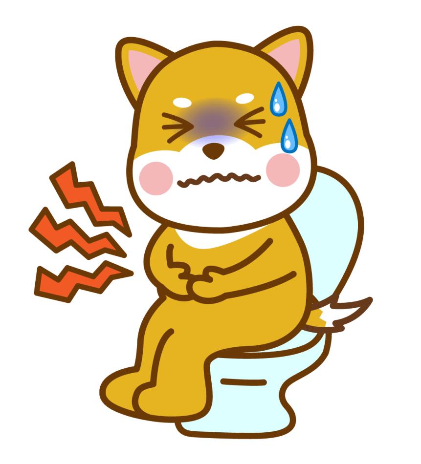 犬のうんちが柔らかい？まず見るべき判断ポイント