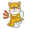 犬のうんちが柔らかい？まず見るべき判断ポイント
