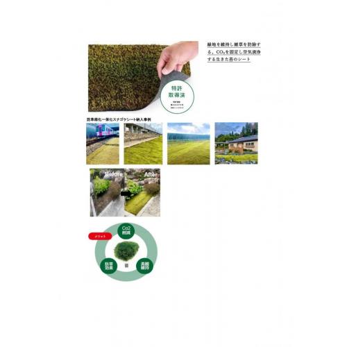 緑地を維持し雑草を防除、CO₂を固定し空気清浄する生きた苔のシート(緑化事業)