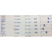 犬・猫の低アルブミン血症とは？症状と対処をやさしく解説