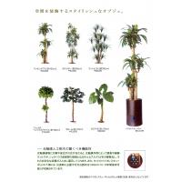 北海道産ピートモス　～良質な天然の腐植酸（有機質フミン酸）を含有～