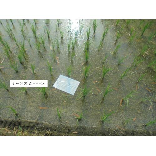 【触媒処理】に成功した特殊な「紙」