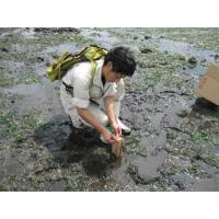 海湾・河川・湖沼など広範囲のヘドロ分解・水質改善に。養殖魚の水質改善に！