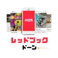 次世代のインバウンド対策向けSNS集客【レッドブックドーン】