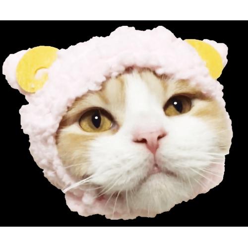 おすすめ 便利グッズ 猫動画 Diy ドローン空撮 ガジェット 口コミ 評価