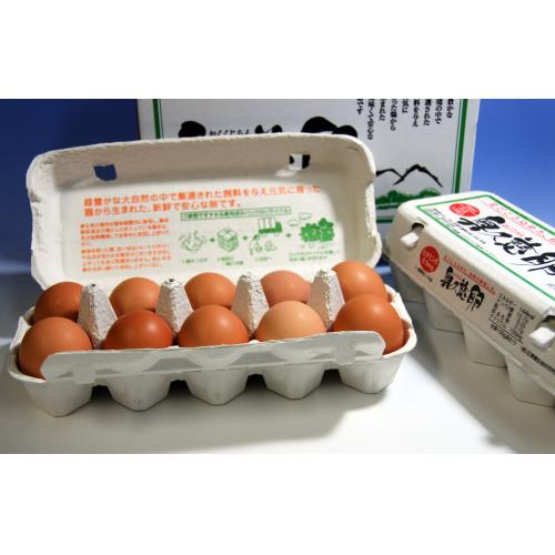 ≪地養鳥、鶏肉(鳥肉)専門、奥久慈卵販売 有限会社鳥正商店(柏市)≫