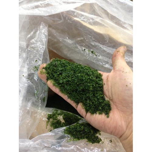 商品紹介 アオサ海苔 (柏市 小林海苔店)