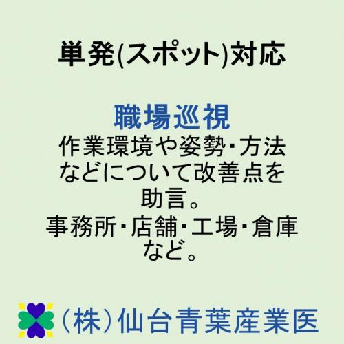 単発(スポット)対応　産業医による職場巡視