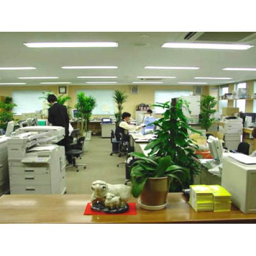 事務室・レストルームの観葉植物(レンタルグリーン)