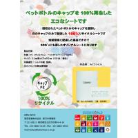 「エコ」「SDGｓ」　ペットボトルキャップを100％再利用したファイルです