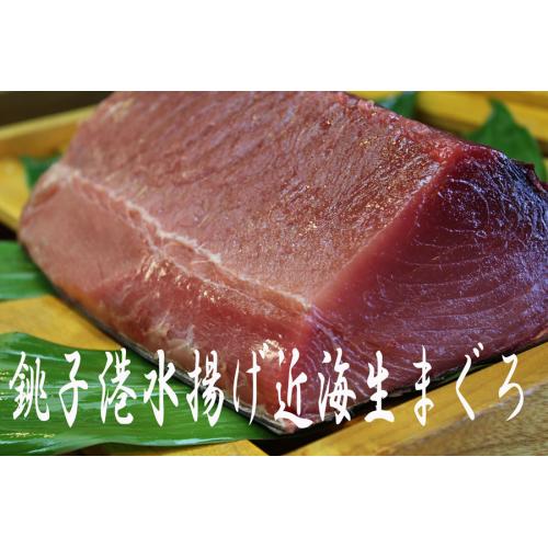 銚子港水揚げ 生まぐろを使用しています!