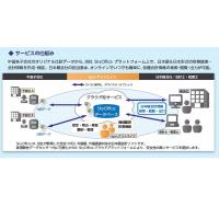 中国進出日系企業の子会社会計に関する親会社の業務を支援(日本語・日本形式)