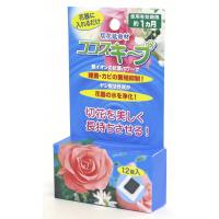 切り花の延命材を新発売しました。　ココスキープ