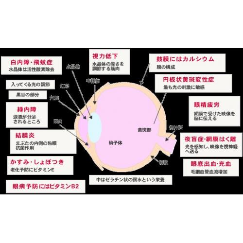 目の病気