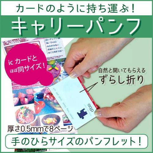 カードのように持ち運べる手のひらサイズのパンフレット キャリーパンフ カードのように持ち運べる手のひらサイズのパンフレット キャリーパンフ