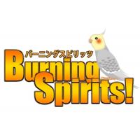 週一回（もしくは月数回）から貴社の経理部長をさせて頂きます