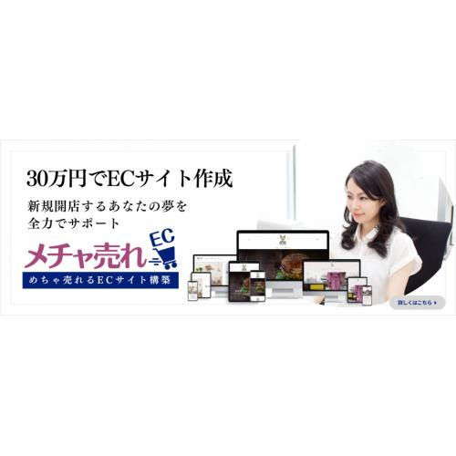 ECページを15日間30万円で構築できる「メチャ売れEC」