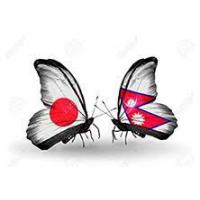 補助金活用をサポートしています。