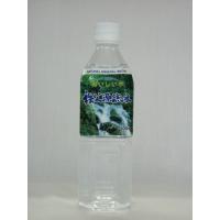 天然の岩清水を使用したナチュラルミネラルウォーター 秩父源流水 500ml