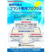 保険代理店ブランド構築プログラムー保険代理店特化型コンサルティング