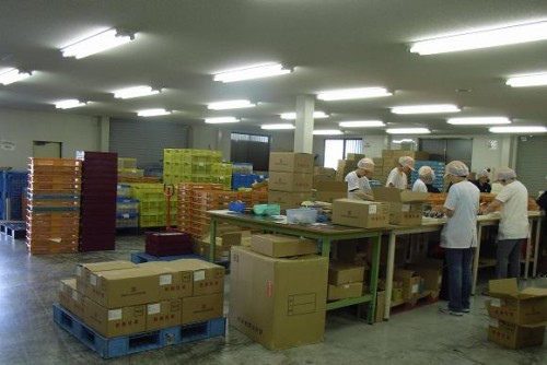 ご面倒な流通加工作業はお任せを