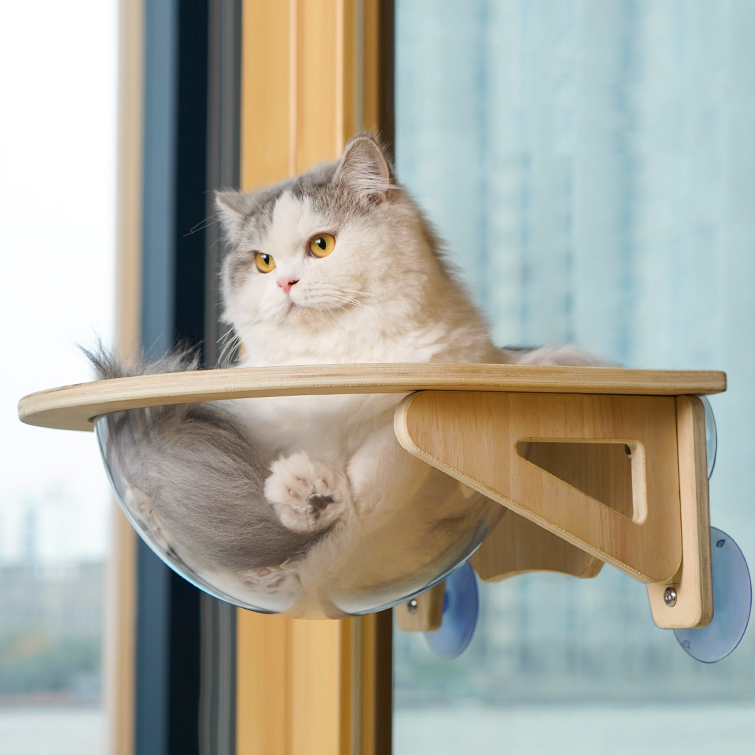 ペット用 猫用 宇宙船 ハンモック ベッド 吸盤ハンモック 耐荷重20kg 透明
